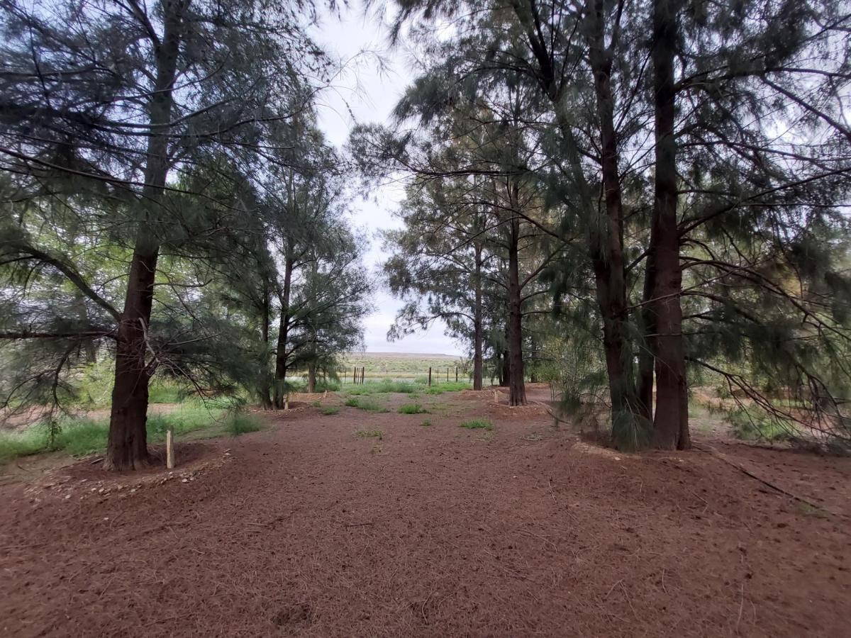 Three Sons Guest Farm Villa Loxton Exterior photo